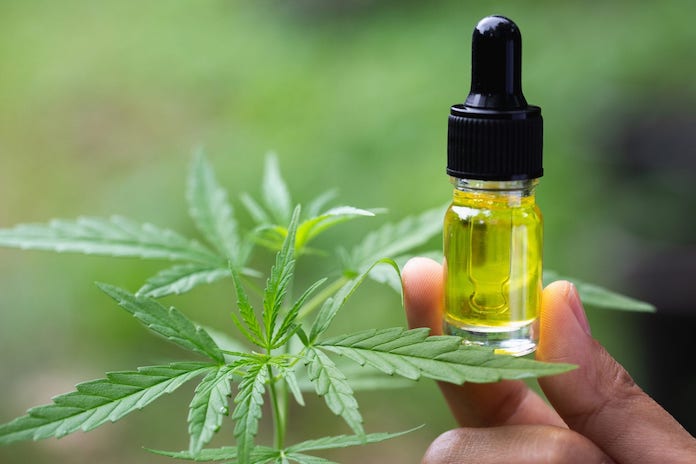 Les bienfaits du CBD pour perdre du poids